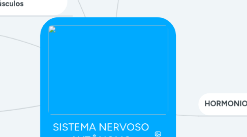 Mind Map: SISTEMA NERVOSO AUTÔNOMO