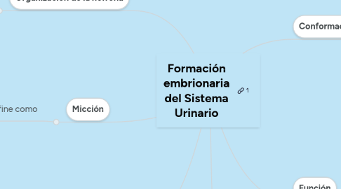 Mind Map: Formación embrionaria del Sistema Urinario