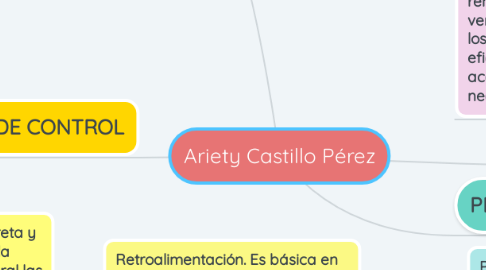 Mind Map: Ariety Castillo Pérez