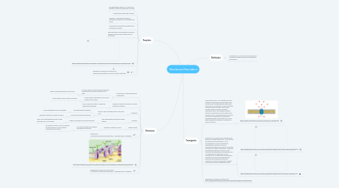 Mind Map: Membrana Plasmática