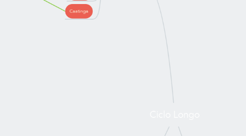 Mind Map: Ciclo Longo