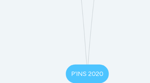 Mind Map: P'INS 2020