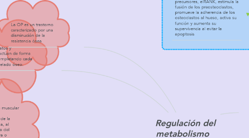 Mind Map: Regulación del metabolismo   óseo