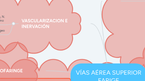 Mind Map: VÍAS AÉREA SUPERIOR FARIGE