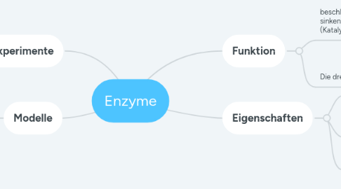 Mind Map: Enzyme