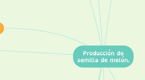 Mind Map: Producción de semilla de melón.