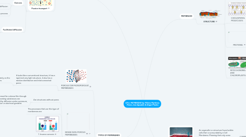 Mind Map: CELL MEMBRANE by Milena Martinez, Maria Jose Agudelo & Angel Piedra