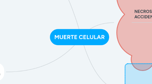 Mind Map: MUERTE CELULAR