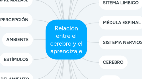 Mind Map: Relación entre el cerebro y el aprendizaje