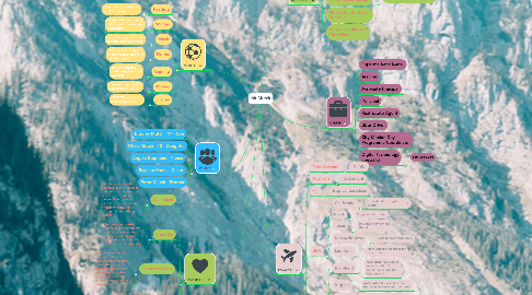 Mind Map: Mr Mutch