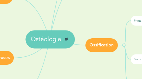 Mind Map: Ostéologie