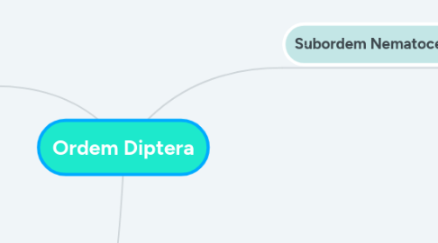 Mind Map: Ordem Diptera