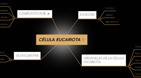 Mind Map: CÉLULA EUCARIOTA