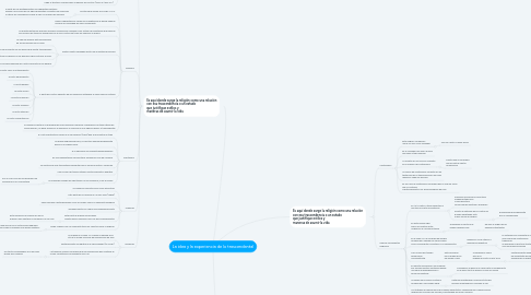 Mind Map: La idea y la experiencia de lo trascendental