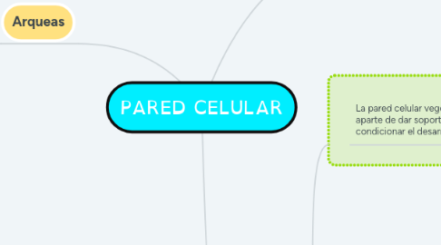 Mind Map: PARED CELULAR