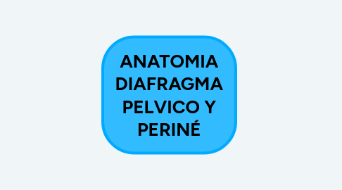 Mind Map: ANATOMIA SISTEMA URINARIO