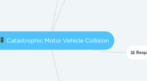 Mind Map: Catastrophic Motor Vehicle Collision