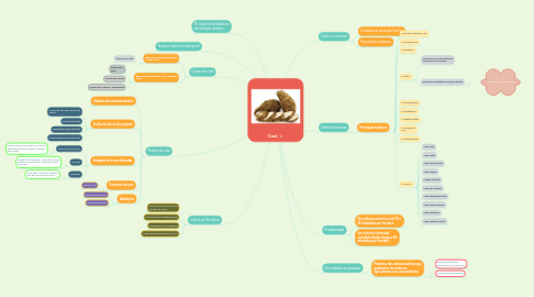 Mind Map: Cará