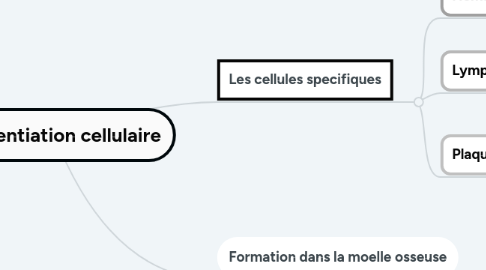 Mind Map: Differentiation cellulaire