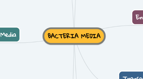 Mind Map: BACTERIA MEDIA