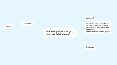 Mind Map: Met welk gevoel start je aan het Beleidsteam?