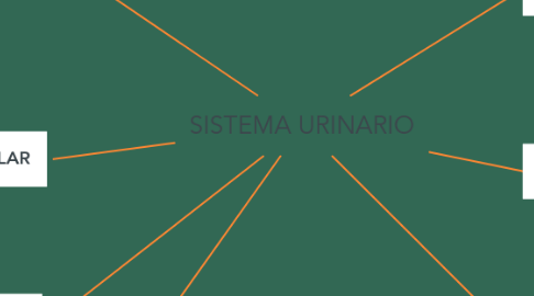 Mind Map: SISTEMA URINARIO