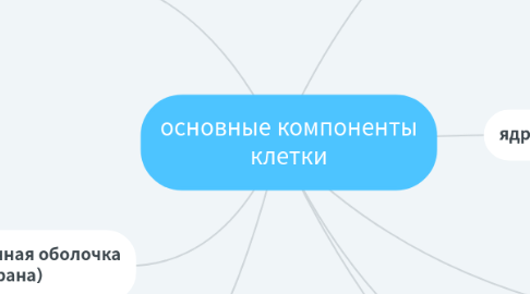 Mind Map: основные компоненты клетки