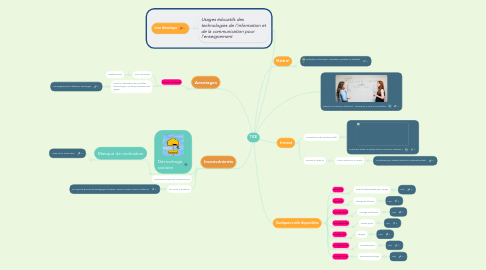 Mind Map: TICE