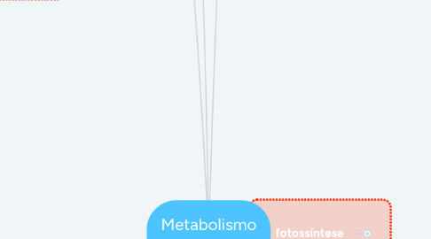 Mind Map: Metabolismo Energético