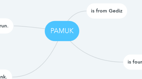 Mind Map: PAMUK