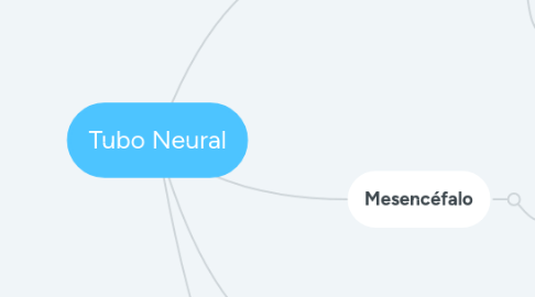 Mind Map: Tubo Neural