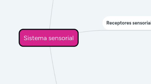 Mind Map: Sistema sensorial