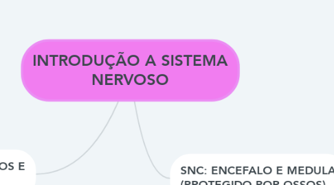 Mind Map: INTRODUÇÃO A SISTEMA NERVOSO