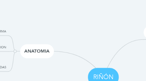 Mind Map: RIÑÓN
