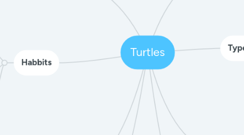 Mind Map: Turtles
