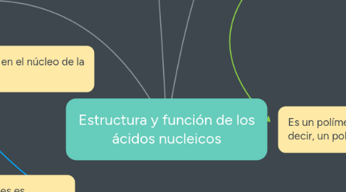 Mind Map: Estructura y función de los ácidos nucleicos