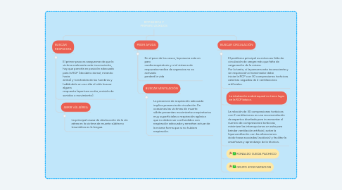 Mind Map: RCP BASICA Y PRIMERO AUXILIOS