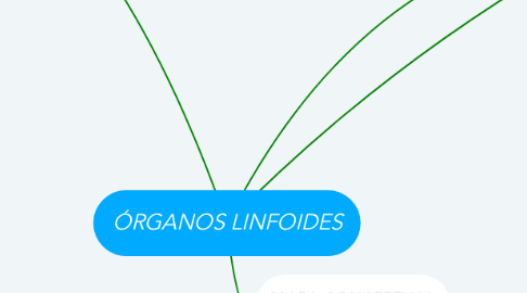 Mind Map: ÓRGANOS LINFOIDES