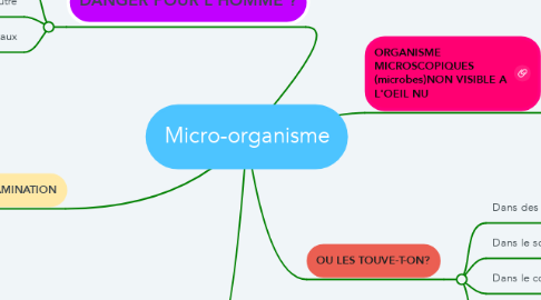 Mind Map: Micro-organisme