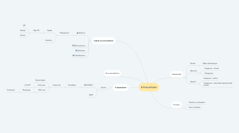 Mind Map: Intracellular