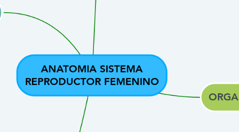 Mind Map: ANATOMIA SISTEMA REPRODUCTOR FEMENINO