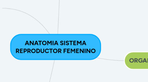 Mind Map: ANATOMIA SISTEMA REPRODUCTOR FEMENINO