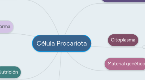 Mind Map: Célula Procariota