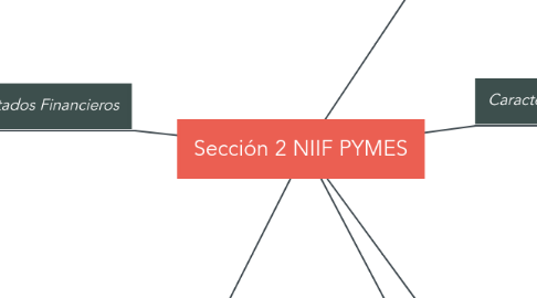 Mind Map: Sección 2 NIIF PYMES