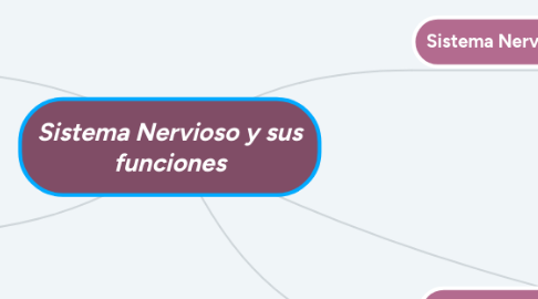 Mind Map: Sistema Nervioso y sus funciones