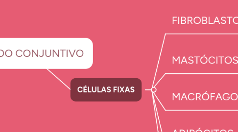 Mind Map: TECIDO CONJUNTIVO