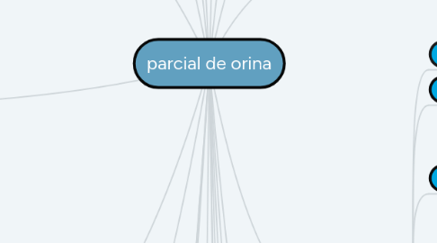 Mind Map: parcial de orina