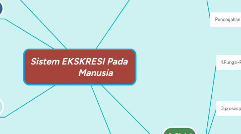 Mind Map: Sistem EKSKRESI Pada                Manusia