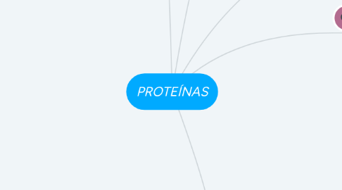 Mind Map: PROTEÍNAS