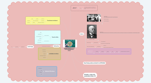Mind Map: microbiologia